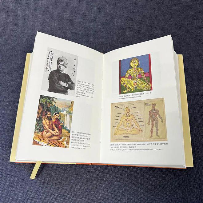 新书 《瑜伽新史：从古印度到现代西方(图3)