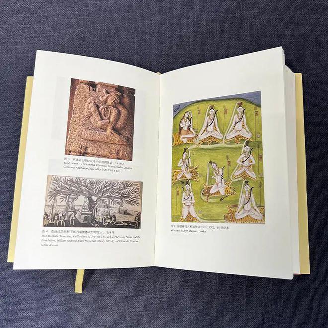新书 《瑜伽新史：从古印度到现代西方(图4)